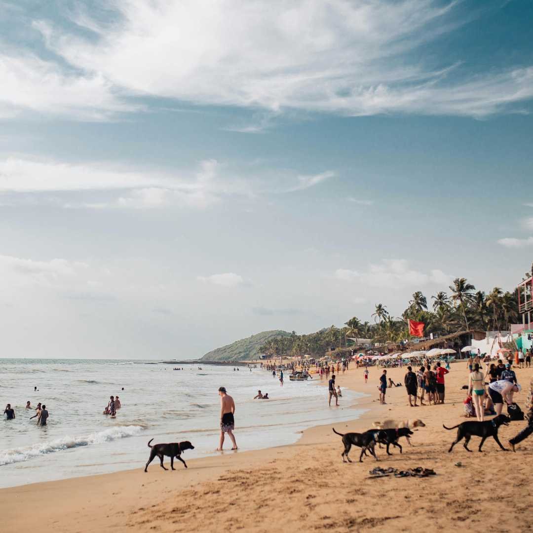 Goa