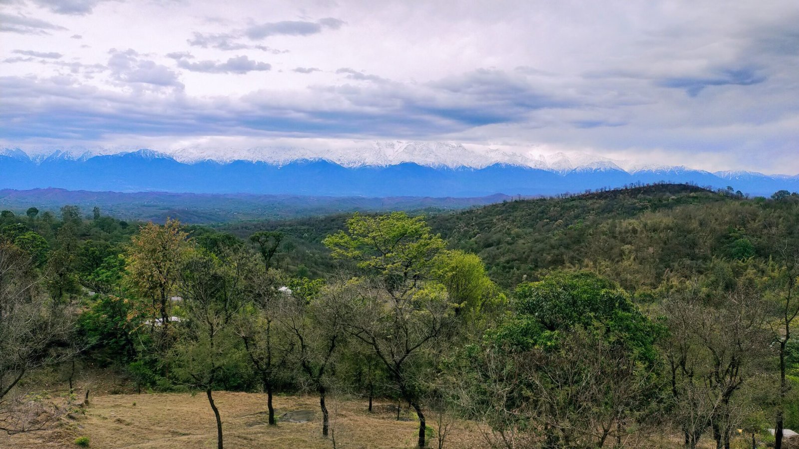 rajiana khas